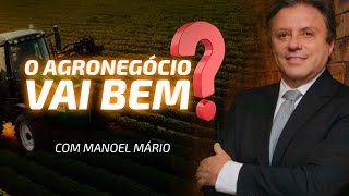 O AGRONEGÓCIO VAI BEM NO BRASIL [upl. by Anirrak]