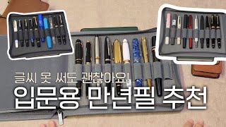 입문용 만년필 추천🖋 글씨 못 써도 괜찮아요  파이롯트 캡리스 몽블랑 펠리칸 펠리카노 오로라 레오나르도 델타 카쿠노 베일리 라이트 트위스비 영생 698 [upl. by Ailaro]