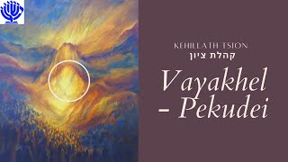 VayakhelPekudei  וַיַּקְהֵל־פְקוּדֵי with Dr Daniel Nessim [upl. by Sielen]