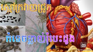 ក្រវាញជ្រូក កែបញ្ហាផ្លូវភេទ ខ្លាញ់រុំបេះដូង Nut​grass treats Heart cholesterol [upl. by Weinstock]