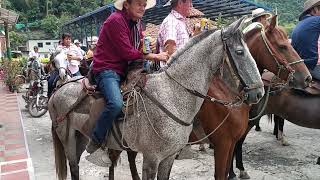 Feria ganadera en Talauta Cundinamarca [upl. by Ha]