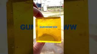 GUM ROSIN COLOPHONY MADE BY VINHCONSHIP GROUP [upl. by Winstonn]