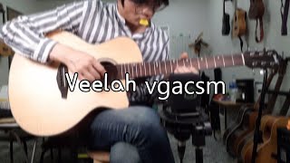 사운드샘플 비일라 기타 Veelah vgacsm 사운드 [upl. by Addiego]