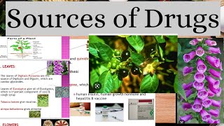 Sources Of Drugs in Pharmacology Natural Semisynthetic and Synthetic [upl. by Santini]