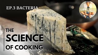 The Science of Cooking Bacteria  Documentary food series  Yeast and sugar fermentation alcohol [upl. by Ahsaeym]