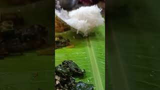 🦚kirthigai special 🐓 kirthigai murugan meals youtube shorts food reels [upl. by Seessel]