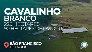 Cavalinho Branco  Fazenda em São Francisco de Paula [upl. by Fisch422]