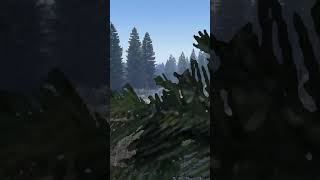 DayZ Ninjaring DayZ shorts [upl. by Godderd11]