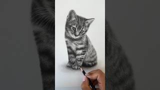 Realistic graphite pencil drawing of a kitten graphitepencil pencildraw pencilart [upl. by Persons]