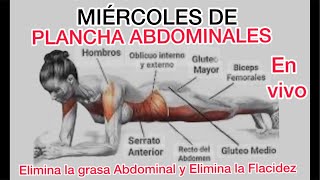 PLANCHA PARA PRINCIPIANTES Abdomen plano con esta fácil rutina fitness [upl. by Cleti]