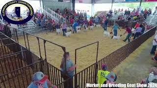 Market and Breeding Goat Show 2024 [upl. by Shanie]