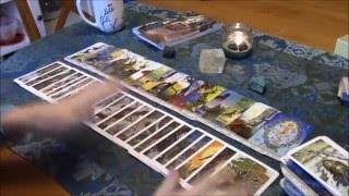 25 Side by Side Comparison Wildwood and Druidcraft Tarot [upl. by Asaret]