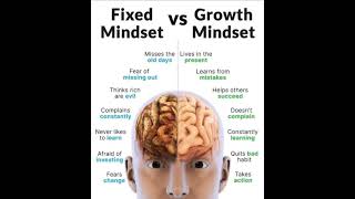 Fixed Mindset vs Growth Mindset🧠 [upl. by Imat757]