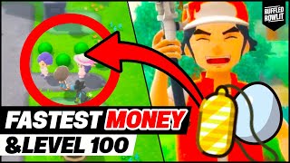 FAST amp EASY Money Guide and FAST Level 100 Guide for Pokemon Brilliant Diamond and Shining Pearl [upl. by Romaine]