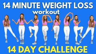 Weight Loss Workout  14Minute Workout at Home  Do this for 14 days  All Standing Moves [upl. by Doralyn538]