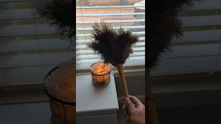 Window blinds cleaning Hack using ostrich feather duster shorts cleaninghacks [upl. by Mavilia331]