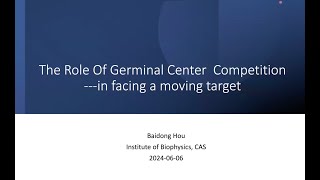 Germinal center competition [upl. by Argella]