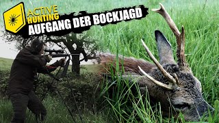 BOCKJAGD 2024 I Der abnorme und der Jährling I Roebuck hunting in Germany [upl. by Ellennahs]