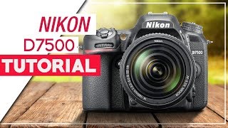 Nikon D7500 Tutorial  How To Setup Your DSLR [upl. by Wehtta816]