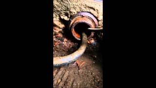 Sewer Main Clean Out  How To Use A Snake [upl. by Enahpad]