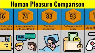 Comparison Human Pleasure  Human Pleasures Of All Time  Things Which Makes Humans Happy [upl. by Mis]