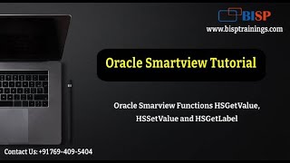 Oracle Smarview Functions HSGetValue HSSetValue and HSGetLabel  Oracle Smartview Tutorial  BISP [upl. by Aremmat513]