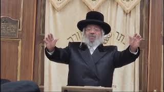 rabbi jungreis shlita at the woodbourne shul 2024 [upl. by Zebedee923]