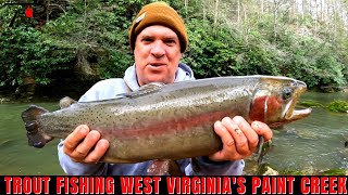 Trout Fishing West Virginias Paint Creek [upl. by Vincenty727]