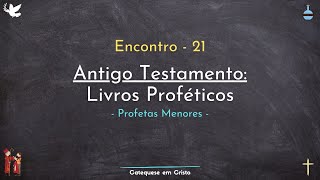 21  Antigo Testamento Profetas Menores [upl. by Ecidnac479]