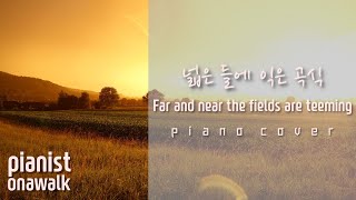 추수감사찬양 Thanksgiving 🌾 Hymn piano🍇🌾🍎🫑🌰 Far and near the fields are teeming [upl. by Irah79]