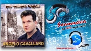 Angelo Cavallaro  Senza Lei  Official Seamusica [upl. by Nosila]