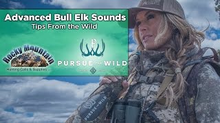 How To Master Elk Bugles with Kristy Titus Elk Call Tips [upl. by Ahsilem563]