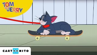 Tom și Jerry  La plimbare  Cartoonito [upl. by Asiulana53]