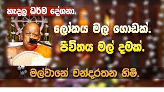 MALWANE CHANDARATHANA THERO [upl. by Rebekkah]