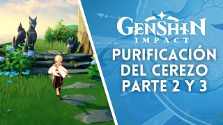 Tutorial Purificación del Cerezo Sagrado Parte 2 y 3  Purificación de Impurezas  GENSHIN IMPACT [upl. by Nahtannoj582]