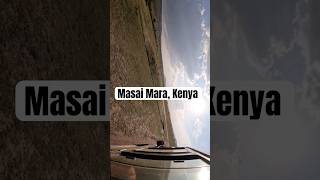 Masai Mara ❤️ safari africa kenya wildlife ytshorts viralvideo [upl. by Anerbas]