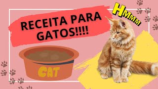 SACHÊ CASEIRO PARA GATO RÁPIDO FÁCIL BARATO E MUITO SAUDÁVEL [upl. by Elleinet]