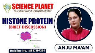 Histone Protein Brief Discussion Explain by Anju Mam of Science Planet [upl. by Rudich]