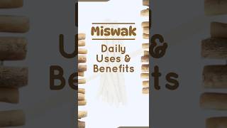 Miswak  ToothCleaning Stick  EduCare  Natural Cure amp Tips miswak benefits [upl. by Aihcila]