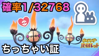 【色証】最小サイズのダブル証色違いシャンデラを厳選！【ポケモンSV碧の仮面】 [upl. by Nairde922]