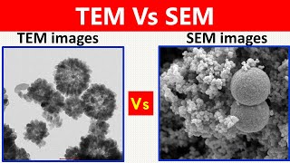 SEM Vs TEM [upl. by Aiza]