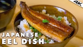 Japanese UNAGI EEL Restaurant in TOKYO  Roppongi Tokyo 4K [upl. by Nylemaj]