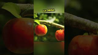 La oruga egoísta Una manzana dos hogares 🍎🐛 [upl. by Prissie]