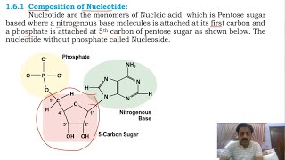 Chapter 1   Biological Molecules  Part 20  Nucleic acids  Sindh Text Board [upl. by Mccord241]