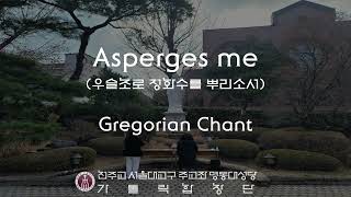 서울대교구 주교좌 명동대성당 가톨릭합창단 Asperges meGregorian Chant [upl. by Anilatak]