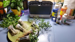 Aerogarden Harvest Cleaning and pH Balance [upl. by Avuha]