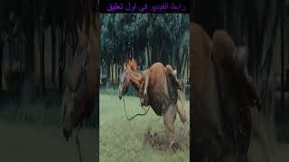 ملخص فيلم RIDE ON 2023 لـ جاكي شان  افلام اكشن [upl. by Akenet]