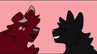 Amnesia was her name Hollyleaf animation memepmv [upl. by Nwhas]