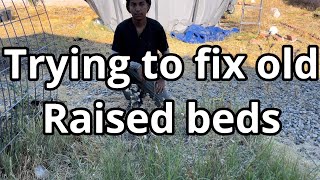 Trying to fix old raised bed soils [upl. by Suhploda]