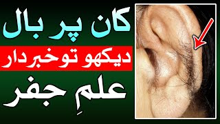 Kan Par Bal Hone Ka Matlab ilm e Jafar Face Reading Hair on the ear کان پر بال Mehrban Ali [upl. by Denni37]